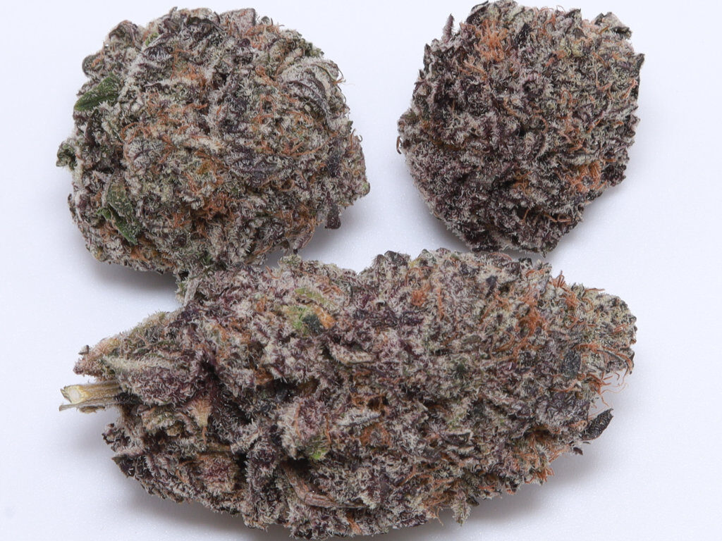 Black Cherry Gelato Zootd 2 Black Cherry Gelato Zootd