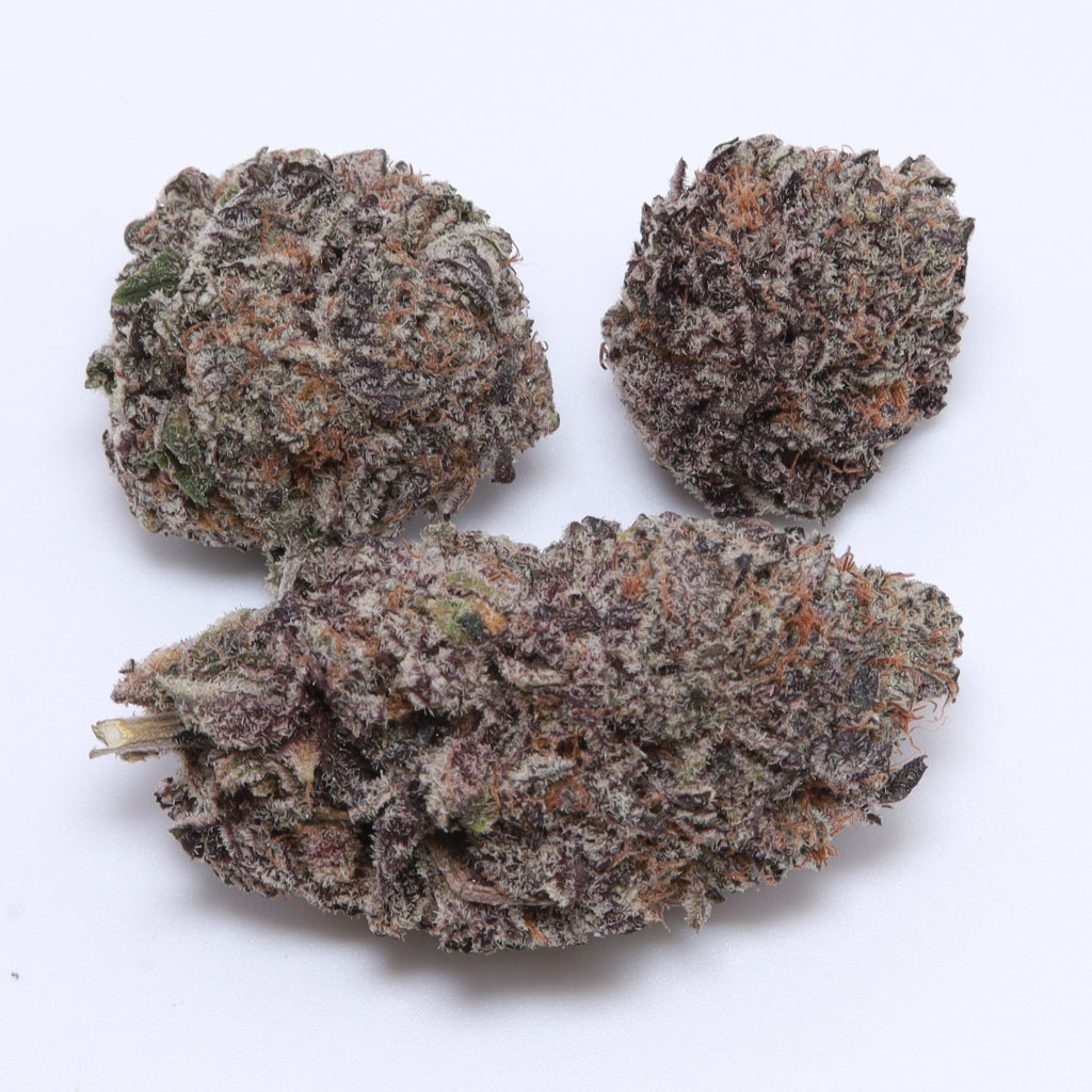 Black Cherry Gelato Zootd