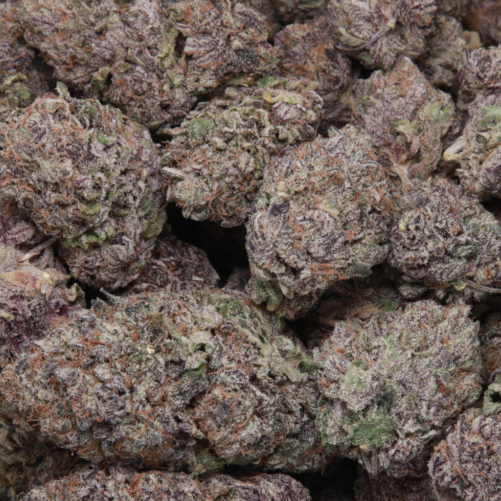Black Cherry Gelato Zootd
